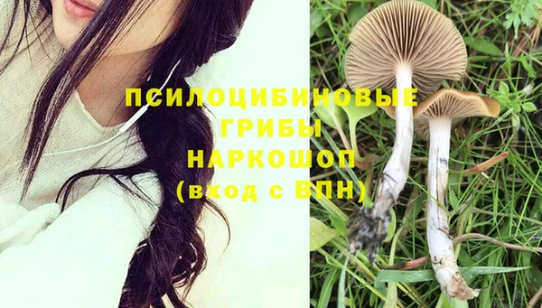 альфа пвп Верхний Тагил