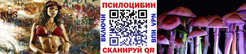 Купить  Вилюйск  Псилоцибиновые грибы Cubensis 